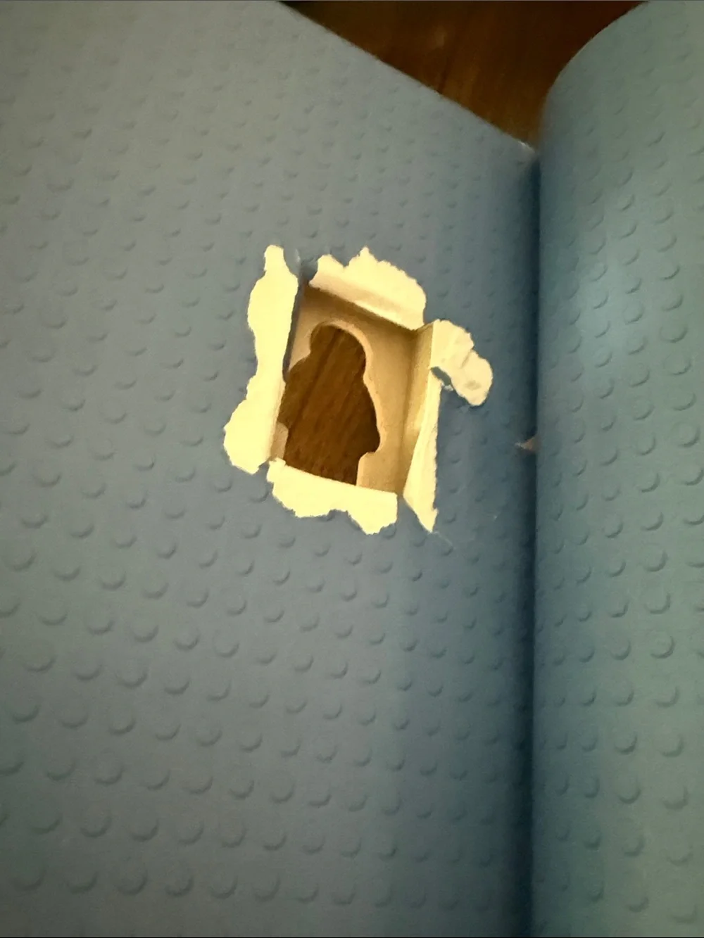 Lego Blue & Yellow Absolutely Everything You Need to Know Book